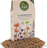 Little Plants BIO Bienenweide - 125 Gramm BIO Blumensamen Mehrjährig für Bienenwiese - Wildblumensamen Blühmischung - Blumenwiese Samen mit mehr als 20 Wildblumen und Kräutersamen, Nachhaltig Verpack