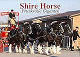Shire Horse • Prunkvolle Giganten (Wandkalender 2022 DIN A3 quer)