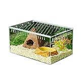 Reptilien-Zuchtbox, kleines Acryl-Terrarium mit Sichtfenster, visuell mit Schiebe-Design, Futterbox für Insekten, Reptilien, Taranteln, Amphibien, Raupen, Kricket, Spinnen, Schnecken, Rep