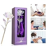 24K Gold Rose Geschenk für Frauen, Geburtstagsgeschenk für Frauen,Frau, Mama,Freundin, Mutter,Oma Muttertag Geburtstag Jahrestag Hochzeitstag Valentinstag Muttertagsgeschenk, mama geschenk geburtstag