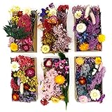 Kunstharz.Art Echte und natürliche getrocknete Wild Blumen zum Basteln oder Wohndekoration, Trockenblumen Set aus Blütenblätter zum basteln, Bastelblumen als Zubehör Material für die Hochzeit (1 Box)