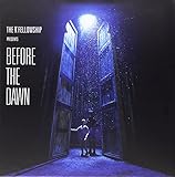 Before the Dawn [Vinyl LP]