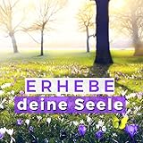 Reise in die N