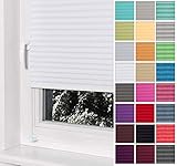 Home-Vision® Premium Plissee Faltrollo ohne Bohren mit Klemmträger / -fix (Weiß, B65cm x H120cm) Blickdicht Sonnenschutz Jalousie für Fenster & Tü