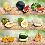 9 verschiedene Melonen-Sorten über 200 frische Samen 100% Natursamen aus Portug