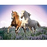 DIY 5D Diamant Gemälde Malen nach Zahlen Kit 2 Pferde 5D Diamant Malerei Pferde,Diamant Painting Strass Stickerei Kreuzstich Kits Supply Kunst Basteln Leinwand Wand Deko Aufkleber 40x30