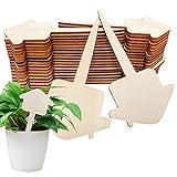 Etiketten Garten Holz,60x Mini Pflanzenstecker,Pflanzenschilder Holz,Pflanzenschilder,Pflanzschilder Bambus,Pfeilform Pflanzenstecker,Garten Stecketiketten,Premium Holz Pflanzensteck