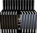 VINELLO 12er Weinpaket Primitivo - Trefilari Primitivo 2020 - Cantina Sampietrana mit einem VINELLO.weinausgießer | 12 x 0,75 L