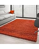 Hochflor Langflor Wohnzimmer Shaggy Teppich Florhöhe 3cm Unifarbe Terra - 120x170