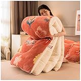 ZBBZXQA Winter Lammsamt Steppdecken, Verdicken Kaschmir Bettdecke, Steppdecke FüR Doppelbett, Warm LeichtfüR Steppbettdecke Hypoallergen Winterdecke,F,200x230cm(3kg)