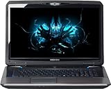 Medion Erazer X7825 43,9 cm (17,3 Zoll) Laptop (Intel Core i7 4700MQ 2,4GHz, 8GB RAM, 750GB HDD, NVIDIA GF GT X770M, Win 8) schw