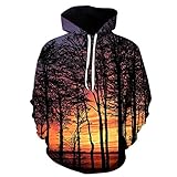 Qienjn Pullover Herren 3D Druck Herren Langarm Herbst und Winter Mode einzigartiges Muster Junge Studenten Urlaub lässig Herren H