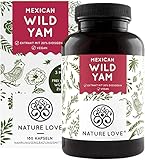 NATURE LOVE® Wild Yam Kapseln - Original Mexican Wild Yamswurzel - Hochdosiert mit 880mg Extrakt (davon 176mg Diosgenin) je Tagesdosis - 180 vegane Kap