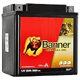 Banner Blei Gel Motorrad Batterie Harley YTZ30L-BS GT30-3 30Ah 12V 53001 Rasentrak