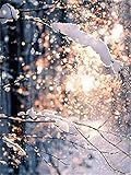 DIY 5D Diamant Malerei Kit Winterlandschaft Voll Diamant Painting Erwachsene/Kinder Malen nach Zahlen Kristall Strass Stickerei Kreuzstich Gemälde Art Craft für Home Wand Dekoration Gift 30x40
