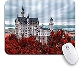 Gaming Mouse Pad Rutschfeste Basis, New Swan Stone Castle Deutschland Symbol Inspiration Moderne Märchenschloss Waldalpen Gotische Barock Architektur Kunst, für Computer Laptop O
