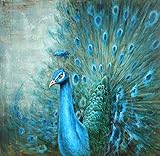 dxycfa Malen Nach Zahlen Erwachsene Pfau Leinwand Gemälde Für Erwachsene Und Kinder Leinenmaterial Home Haus Dekor16X20 Z