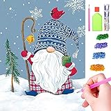 Alansep Diamond Painting Kits für Erwachsene, DIY 5D Diamant Malerei, Weihnachten Diamant Malerei Weihnachten Gnome für Erwachsene Vollbohrer Diamant Malerei Kunst Handwerk Kit für Home Wall D