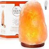 The Body Source Himalaya Salzlampe (2-3 kg) mit Dimmerschalterlicht aus der Salt Range Pakistan auf einem Holzständer - Nachtlicht inkl. 2x 15W Glühbirnen und Geschenkbox