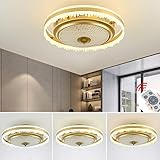 YAOXI Fan Deckenventilator Mit Beleuchtung Leise Dimmbar LED Fan Deckenleuchte Einstellbare Windgeschwindigkeit Deckenlampe Für Schlafzimmer Wohnzimmer Esszimmer,Gold,D50×25cm/58W