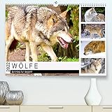Wölfe. Ein Herz für Isegrim! (Premium, hochwertiger DIN A2 Wandkalender 2022, Kunstdruck in Hochglanz)