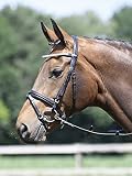 Trense SINGLE-SOFT, Warmblut, schwarz/Crystal-silb