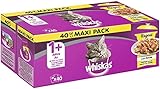 Whiskas 1+ Katzenfutter Ragout – Geflügel-Auswahl in Gelee – Abwechslungsreicher Geschmack durch verschiedene Geschmacksrichtungen – 40 Portionsbeutel à 85g, 40X85G