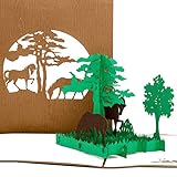 Pop Up Karte 'Wildpferde in Natur ' Pferde Karten in 3D als Geburtstagskarte, Geschenk & Einladungskarten zum Geburtstag & Kindergeburtstag - Dekoration, Deko Pferd Modell & Geschenkverpackung