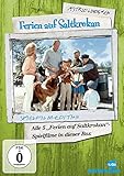 Astrid Lindgren: Ferien auf Saltkrokan Spielfilm-Edition [5 DVDs]