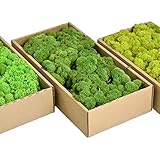 Islandmoos - Das original Islandmoos zum basteln und Dekorieren. Echtes Naturprodukt. Dekomoos, Moos zum basteln, Deko Moos natur konserviert (0.5 Kg, Waldgrün)