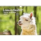 Lamazauber DIN A3 Kalender für 2022 Lama Alpaka - Geschenkset Inhalt: 1x Kalender, 1x Weihnachtskarte (insgesamt 2 Teile)