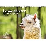 Lamazauber DIN A3 Kalender für 2022 Lama Alpaka - Geschenkset Inhalt: 1x Kalender, 1x Weihnachtskarte (insgesamt 2 Teile)