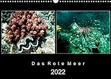 Das Rote Meer – 2022 (Wandkalender 2022 DIN A3 quer) [Calendar] Mirko Weigt, © and Hamburg [Calendar] Mirko Weigt, © and Hamburg [Calendar] Mirko Weigt, © and Hamburg