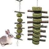 N/0 Kaninchen Kauspielzeug, 2PCS Hamster Kauspielzeug, Molaren Kaninchen Spielzeug, Kaninchen Kauspielzeug für Zähne, Geeignet Für Kaninchen, Chinchillas, Meerschweinchen, H