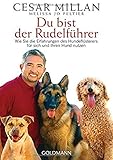 Du bist der Rudelführer: Wie Sie die Erfahrungen des Hundeflüsterers für sich und Ihren H