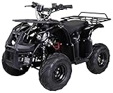 Kinder Elektro Quad S-8 Farmer 1000 Watt Miniquad (Schwarz)