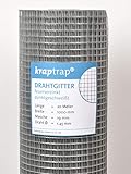 kraptrap® Volierendraht Drahtgitter 19x19mm Masche 100 cm Breite, 20 m Länge (1m x 20m)