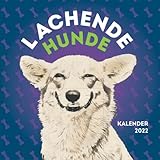 Lachende Hunde Broschürenkalender 2022 mit 12 Lustige Bilder | Lustige Geschenke für Freunde | Neujahr | Hundeliebhaber: Hundemama | Hundepapa | Hundebesitzer Geburtstag | W