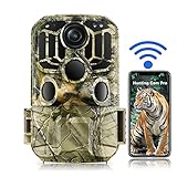 WiFi Wildkamera 20MP 1296P Wildkamera Jagd 850nm wasserdichte IP66 Kamera mit 0,3s Auslösezeit und Bewegungsmelder Nachtinfrarotsicht bis zu 66ft (20m), WLAN Jagdkamera für Outdoor-Beobachtung