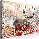 murando - Bilder Hirsch 120x80 cm Vlies Leinwandbild 1 TLG Kunstdruck modern Wandbilder XXL Wanddekoration Design Wand Bild - Tier Mohnblumen Feld Natur Landschaft g-C-0345-b