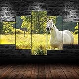 WDXXF Leinwand Bilder Tier Pferd Wandbild Poster Kunstdruck 5 Teilig Leinwandbild HD Modern Leinwanddrucke Wohnzimmer Wand Dekoration.Größe:(Mit Rahmen 100x55 cm)