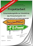 Technischer Betriebswirt Projektarbeit und Präsentation IHK-Entscheidungshilfe/Firmenfuhrpark/Diesel-Elektrofahrzeug