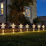 Marco Paul Weihnachts-Set mit 8 Stern, beleuchtet, 35 cm, Gartenweg, Terrasse, 24 LEDs, batteriebetrieben, festliche Beleuchtung, Weihnachtsdek