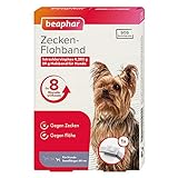 Zecken-Flohband Junior für Hunde | 8 Monate gegen Zecken & Flöhe | Mit SOS-Suchservice | Für Hundewelpen ab 12 Wochen | Farbe: Weiß | Länge: 60