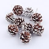 Sulifor 24 Tannenzapfen ca. 3-4cm Weihnachten Anhänger Deko Schwarzkiefern Zapfen Kiefernzapfen Tanne Naturzapfen Weihnachtsdeko Adventsdeko Herbstdeko (Silber, 9PC)