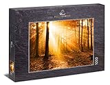 Ulmer Puzzleschmiede „Goldener Herbstwald“ - Klassisches 1000 Teile Natur-Puzzle – poetische Herbststimmung als Puzzle: Das Licht der tiefstehenden Sonne durchflutet die Bäume im bunten Herbst-W