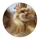 Set mit 6 Untersetzern für Getränke Lustige Drachenorange Katzen Elfie Runde Tassenmatte aus Leder für Heim- oder Bardek