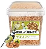 EWL Naturprodukte Mehlwürmer getrocknet 800 gramm, der ideale gesunde proteinreiche Premium Insektensnack für Vögel, Fische, Schildkröten, Nager und Rep