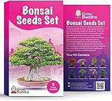 Bonsai Samen von Grow Buddha - Geschenkset - Züchten Sie Ihren eigenen Bonsai-Baum ganz einfach mit unserem 8 Bonsai Baumsamen Set. Anfänger freundlich - Einzigartiges Saatgut-Set Geschenk