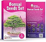 Bonsai Samen von Grow Buddha - Geschenkset - Züchten Sie Ihren eigenen Bonsai-Baum ganz einfach mit unserem 8 Bonsai Baumsamen Set. Anfänger freundlich - Einzigartiges Saatgut-Set Geschenk